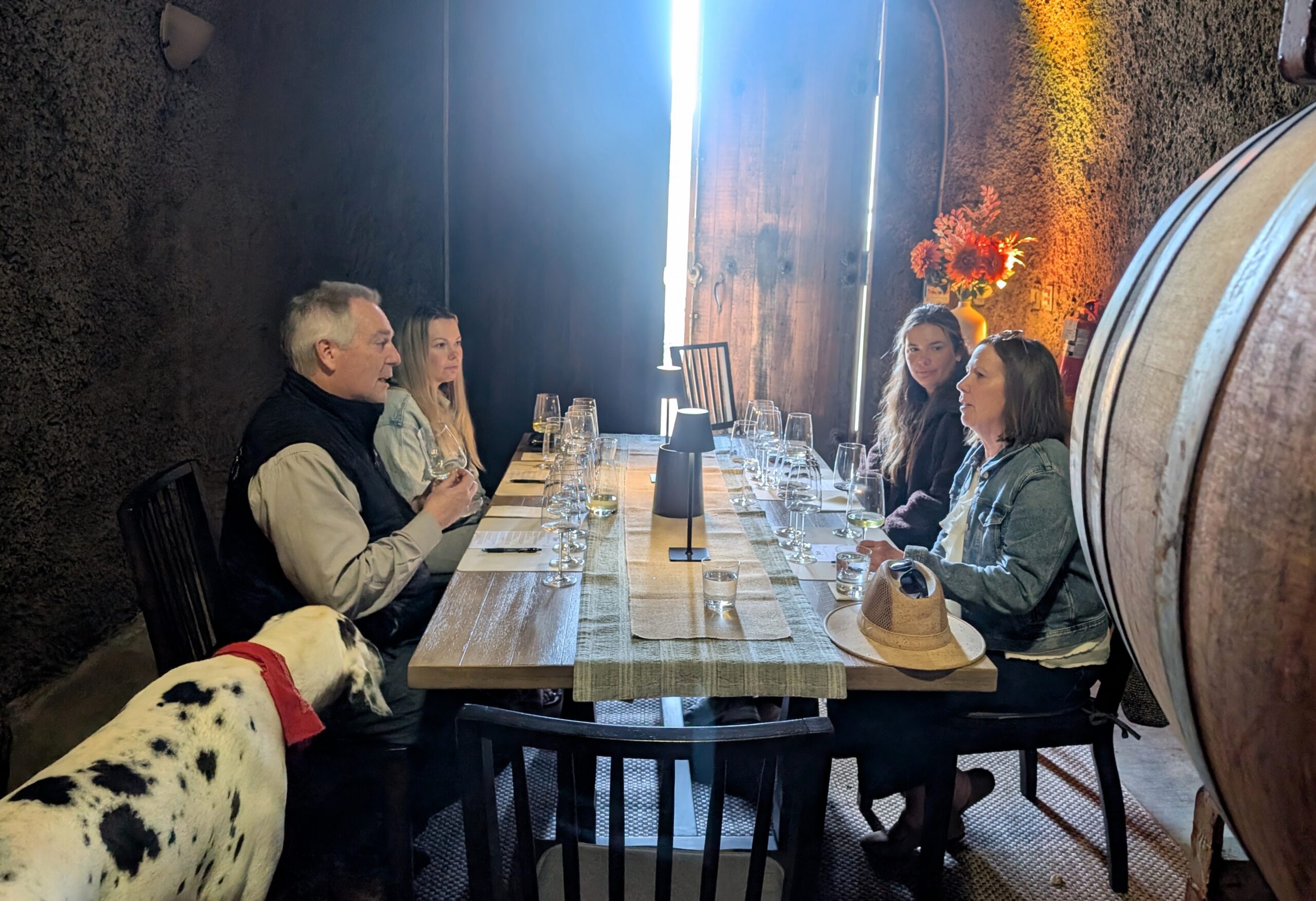 Private wine tasting in a cave with great danes!