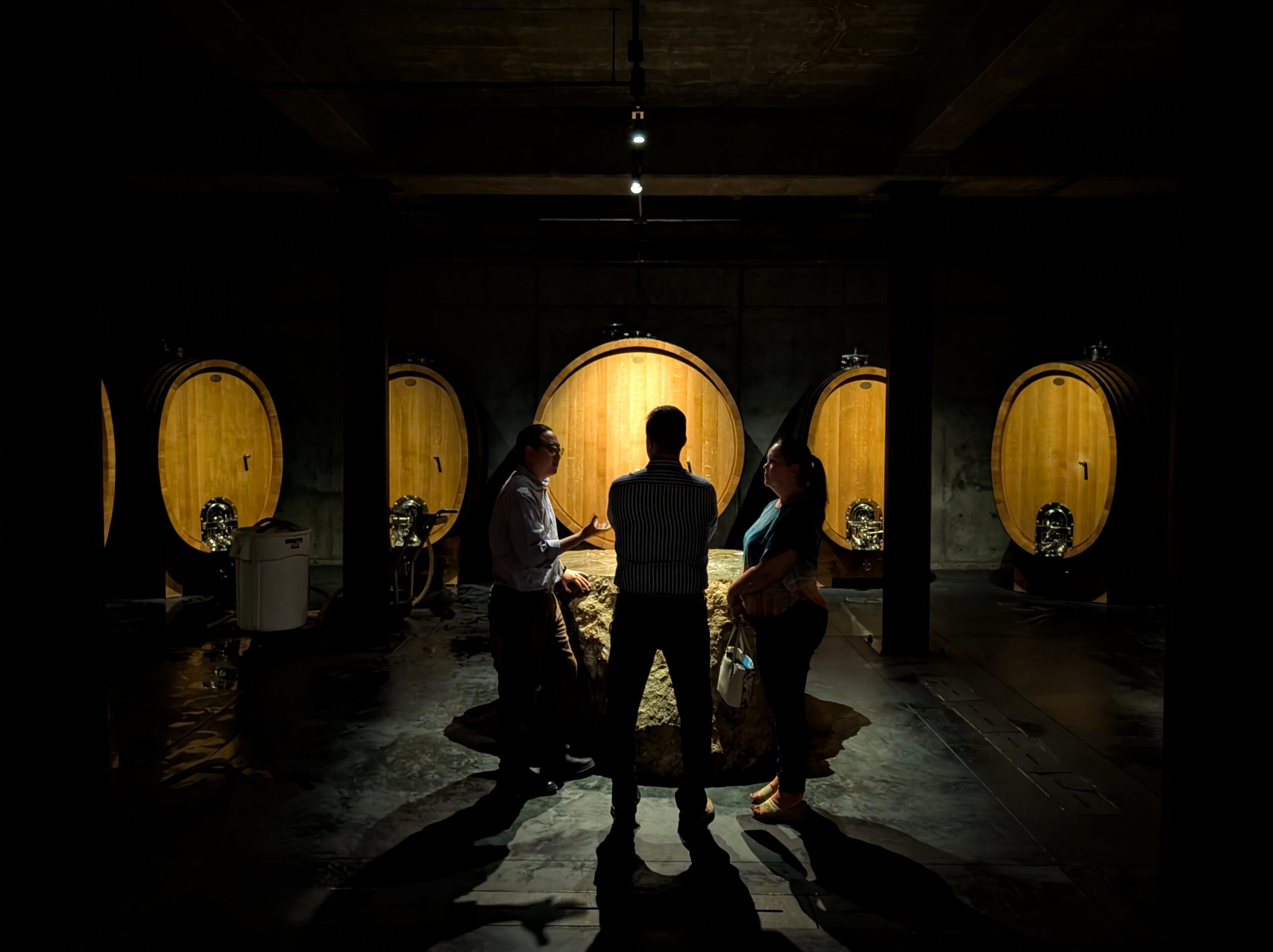 Wine tasting with master sommelier in the cask room!