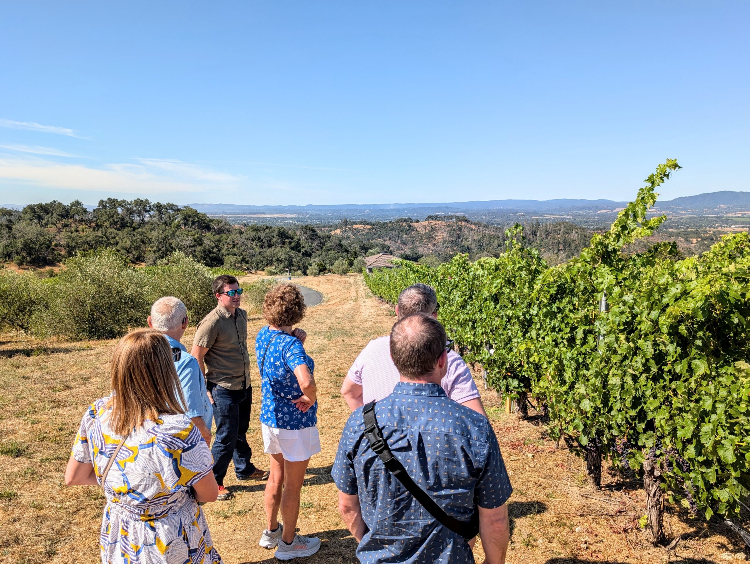 Starting with a tour of the vineyards in the Chalk Hill region of Sonoma!
