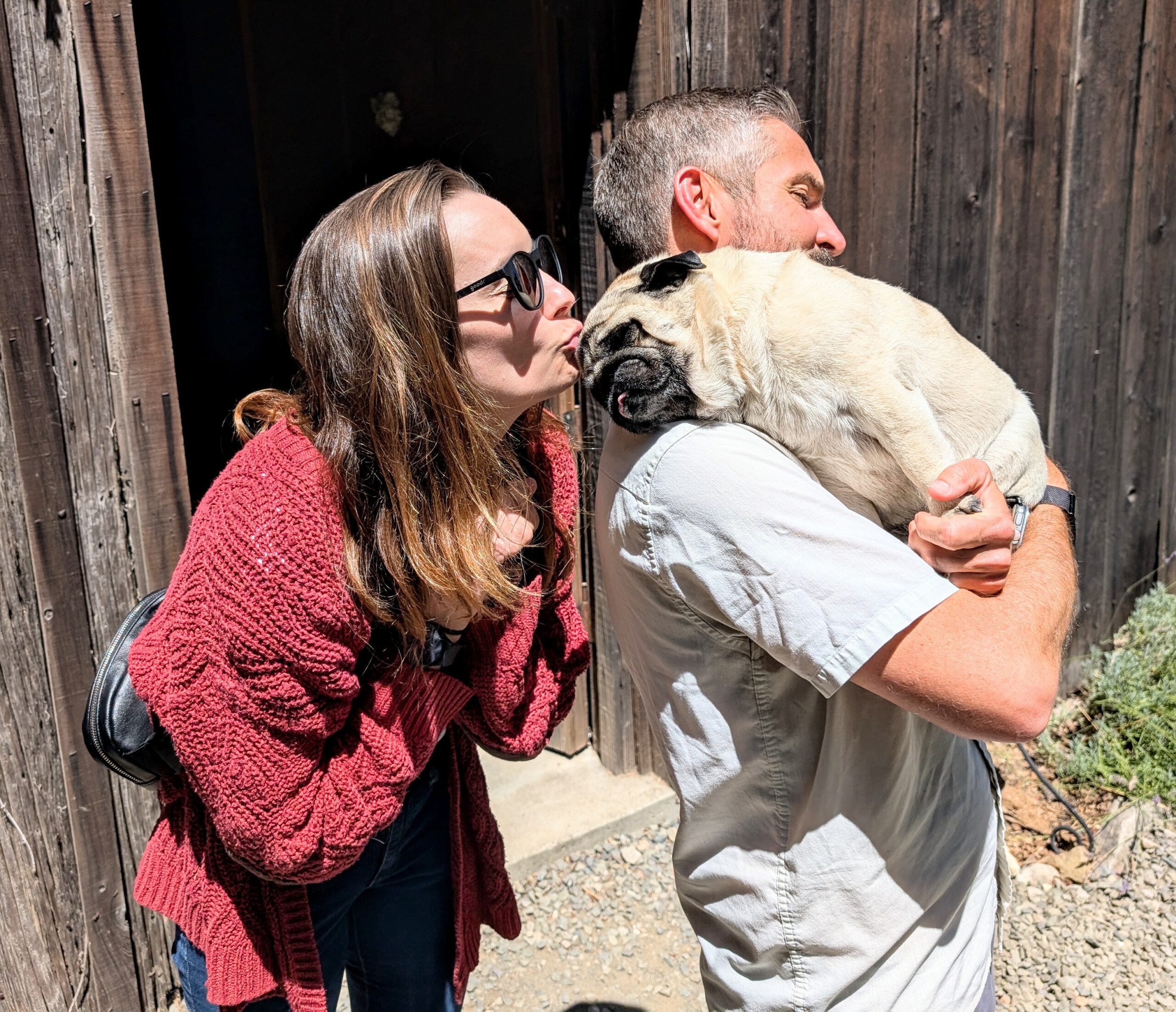 Bliss Wine Tours is a dog friendly company!