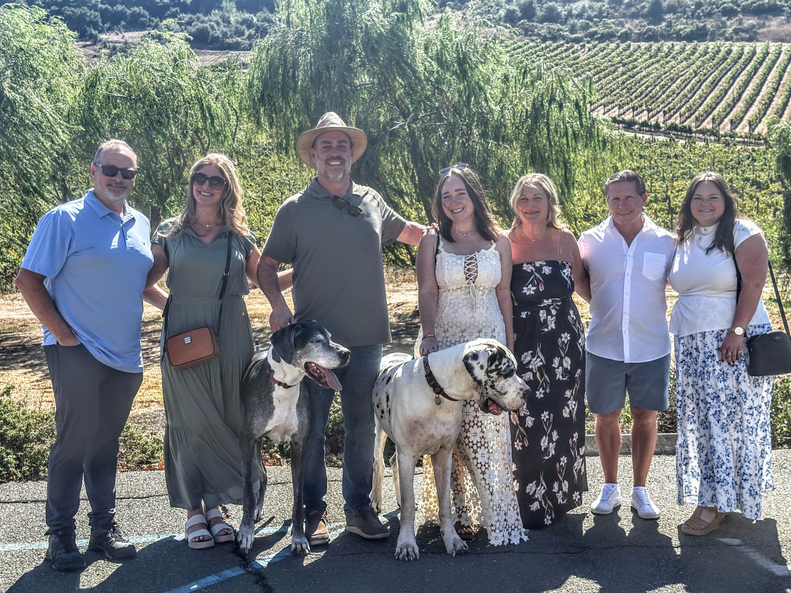 Have you seen the largest winery dogs in Sonoma?!