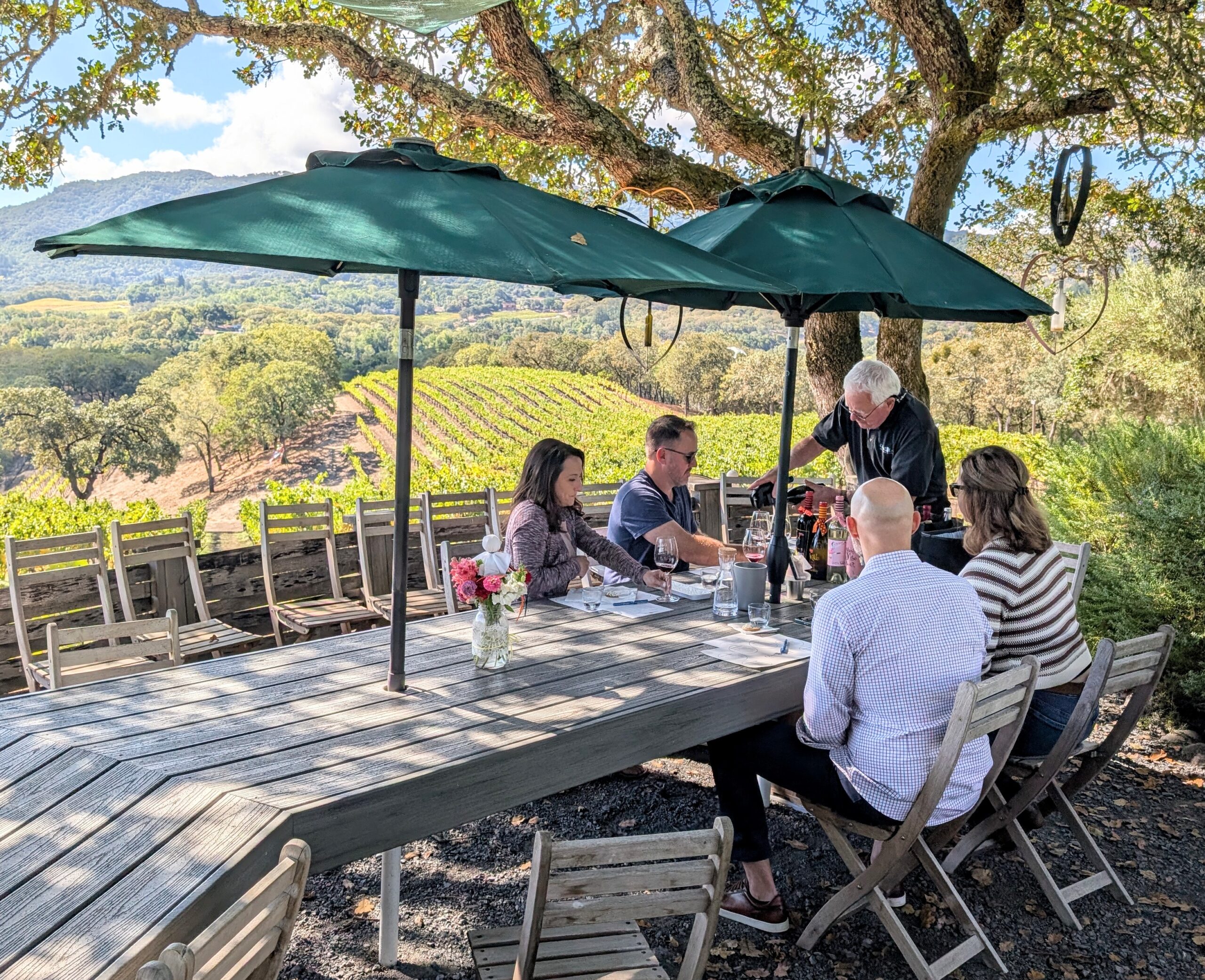 One of the best views in Sonoma!