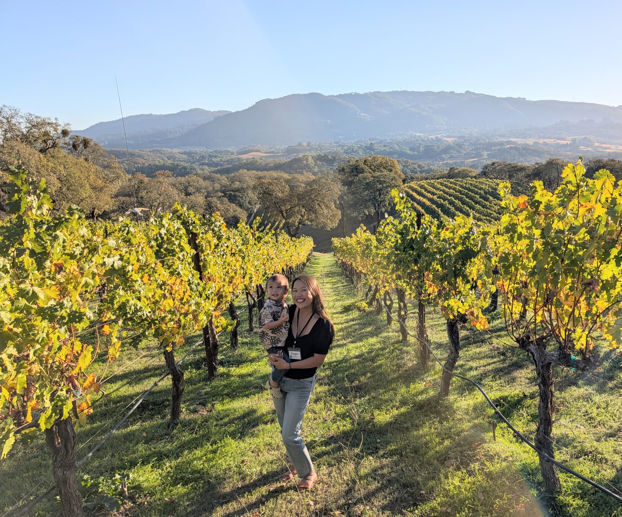 It’s the most beautiful time of the year in Napa & Sonoma!