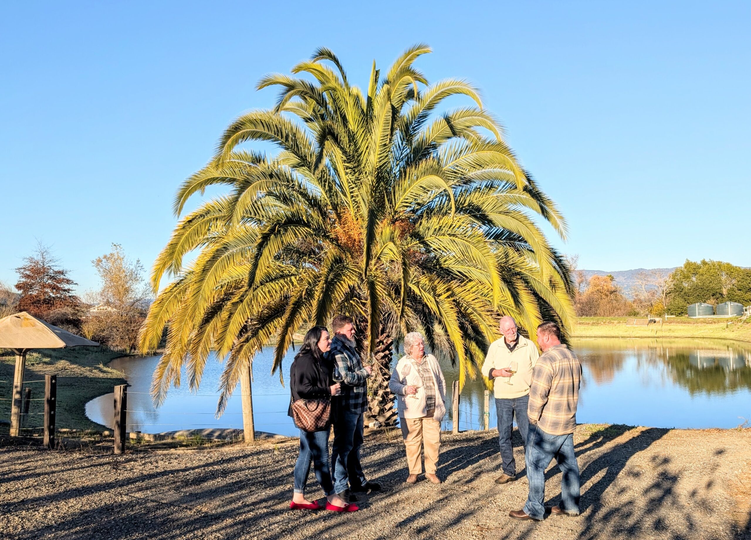 Come enjoy the beautiful, blissful days here in Napa Valley