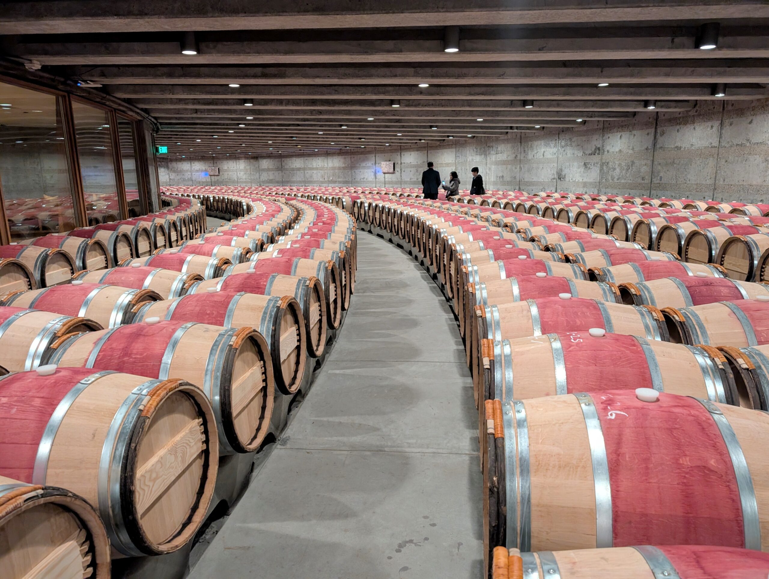 Private tour of the grand barrel room at Opus One!