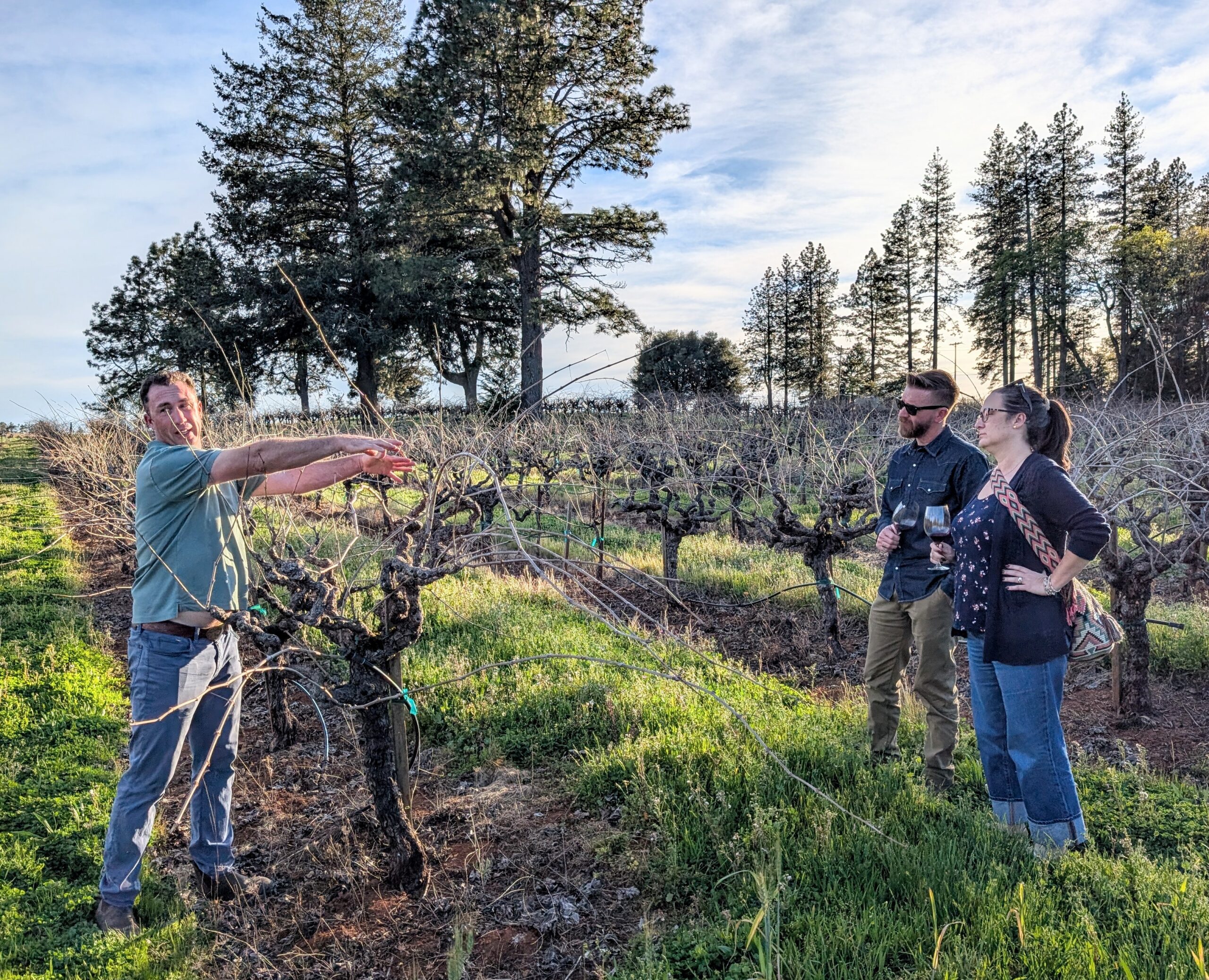 Winemaker, Brian, teaching us about head-pruning their old Zinfandel vines!