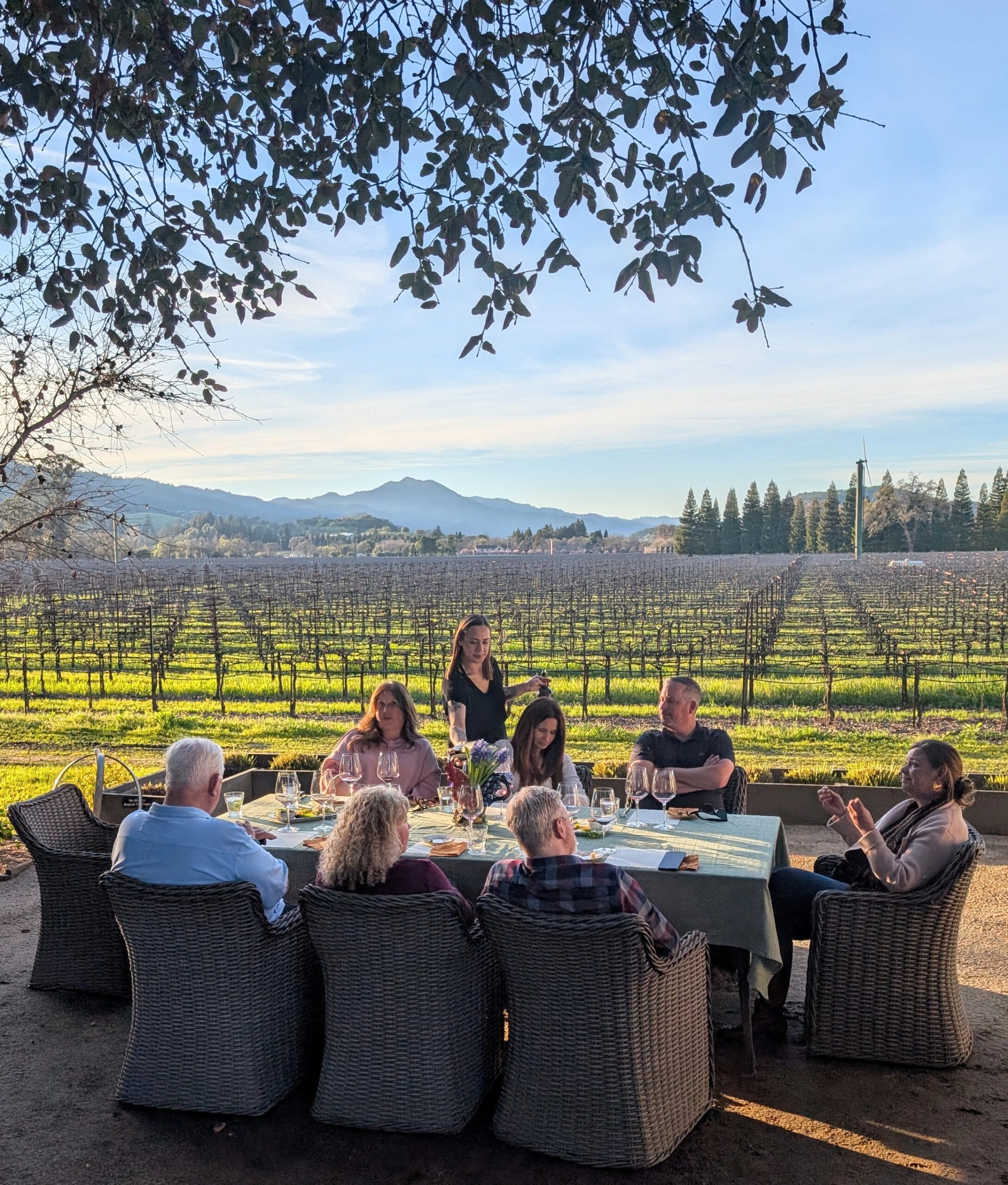 Private wine tasting by the vineyards in Napa Valley