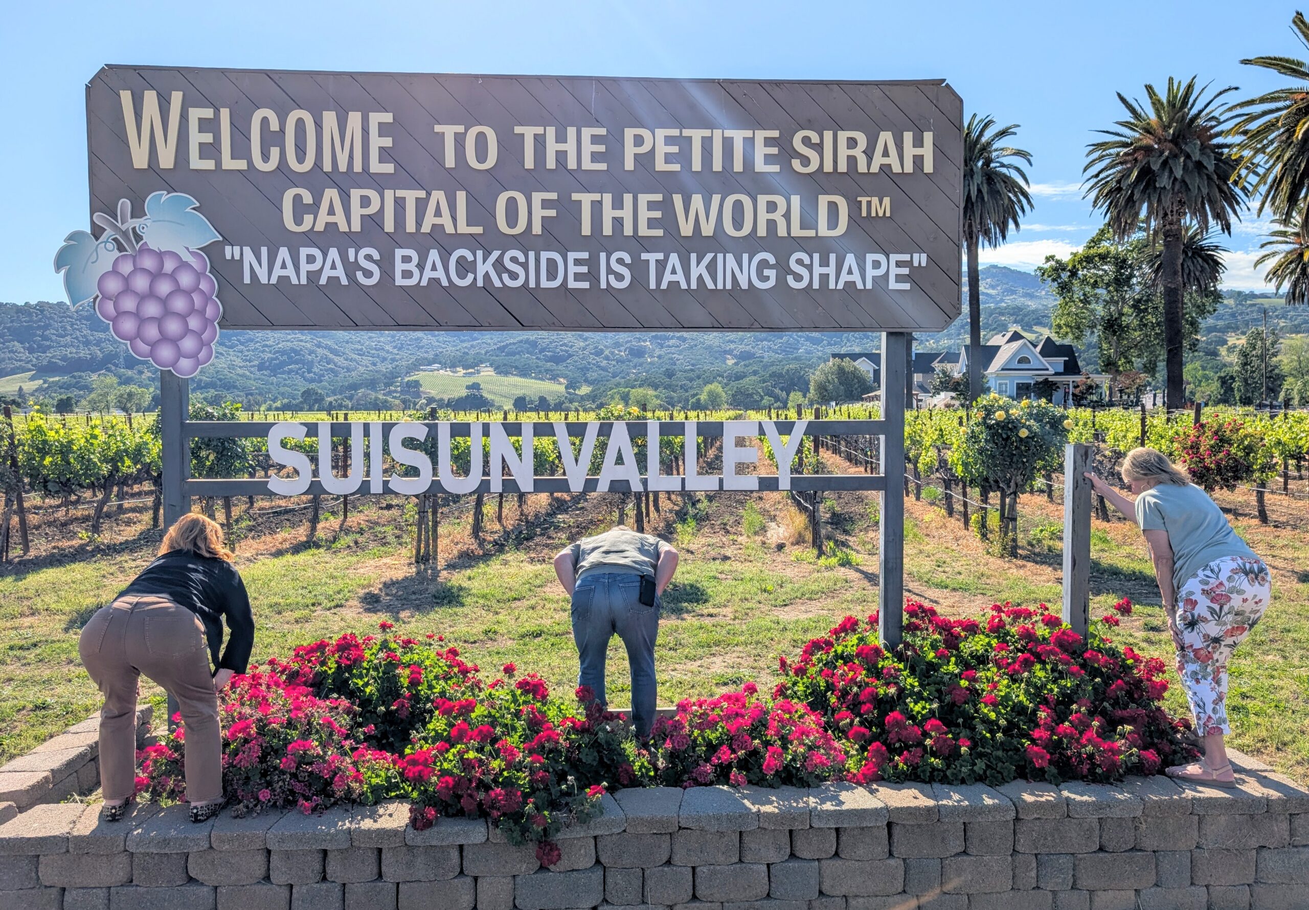 Checking out Napa’s backside – Suisun Valley!