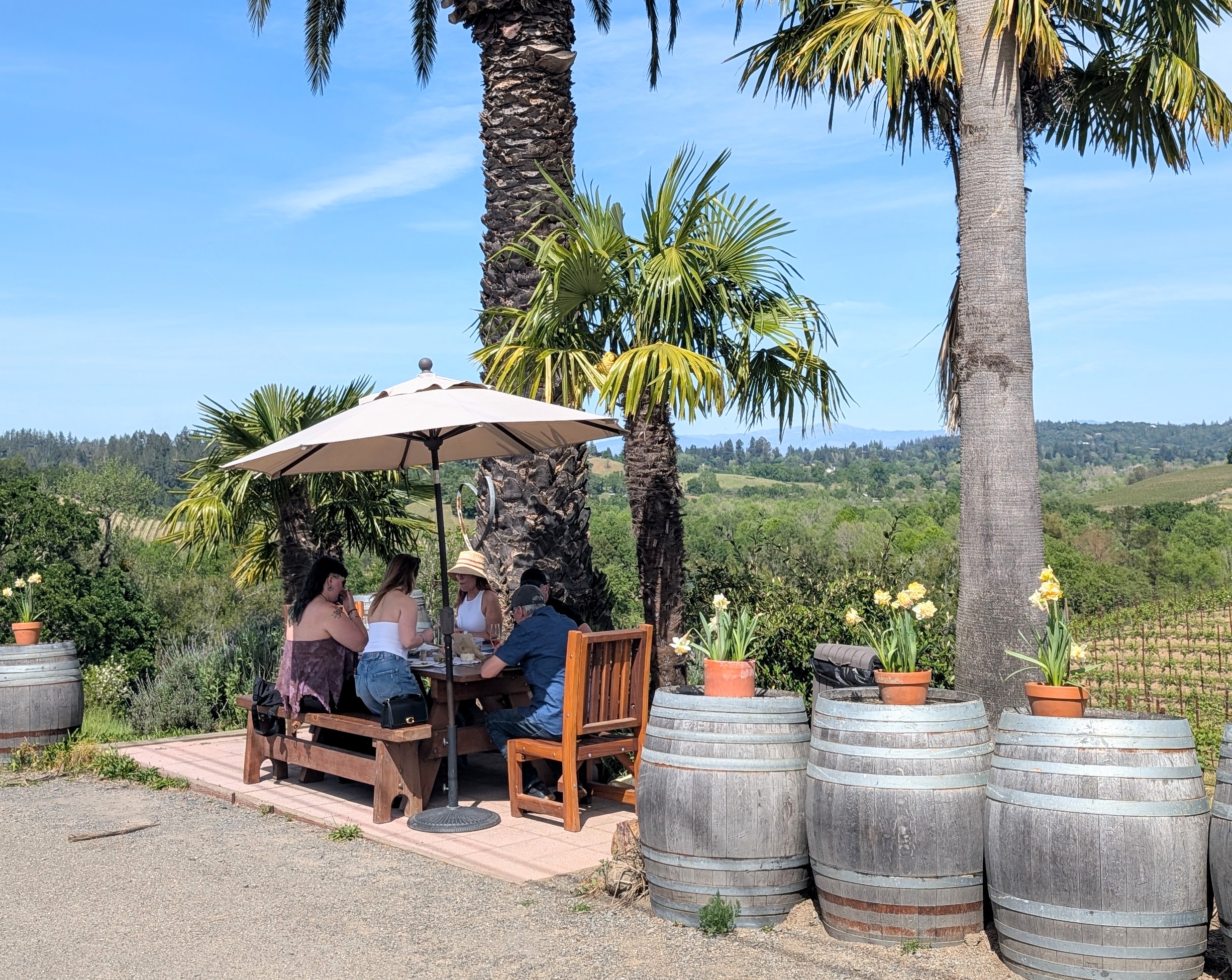 Wine tasting in the beautiful Russian River Valley!