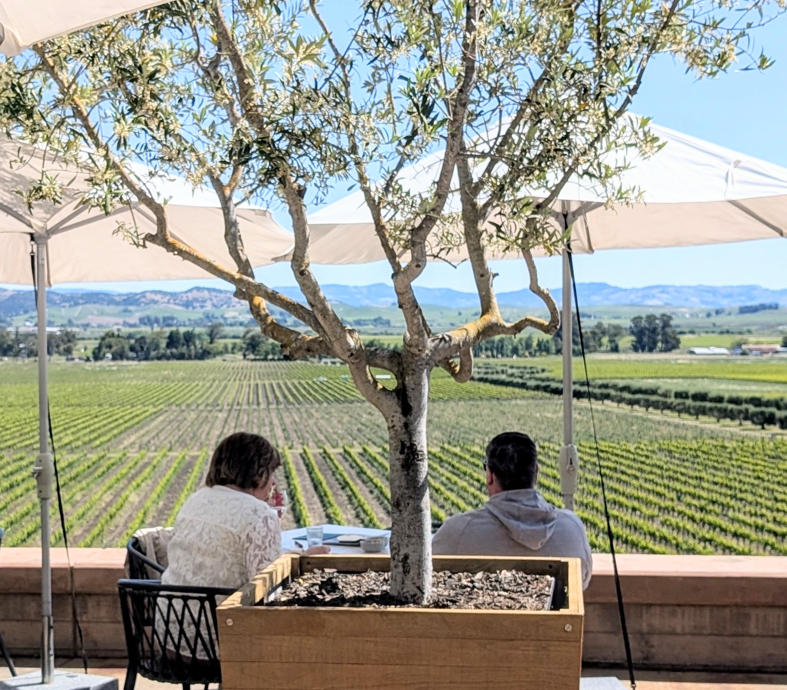 The best wine and the best views!