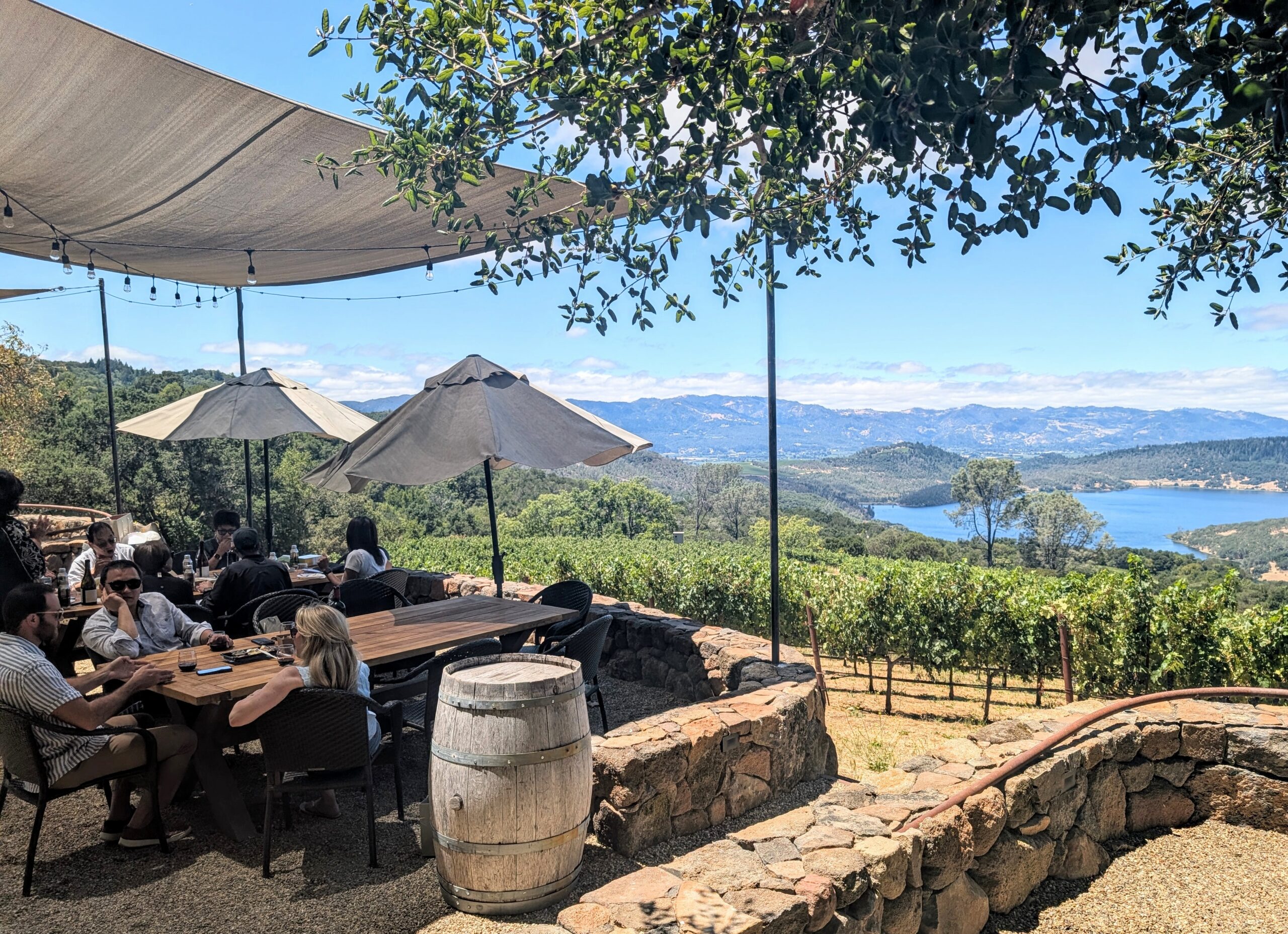 I know the best views in Napa Valley!