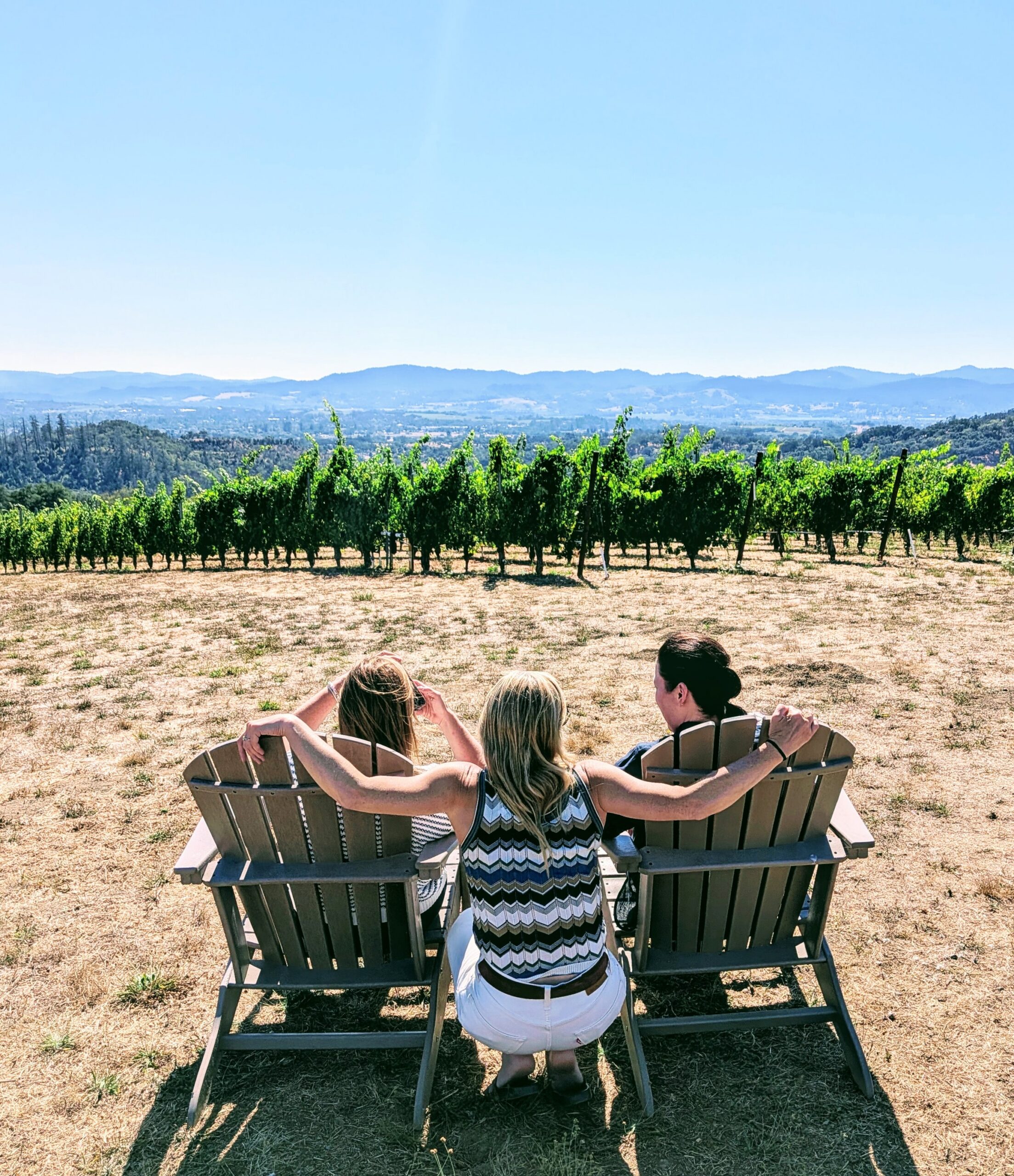 Relax and take in the vineyard views with Bliss!