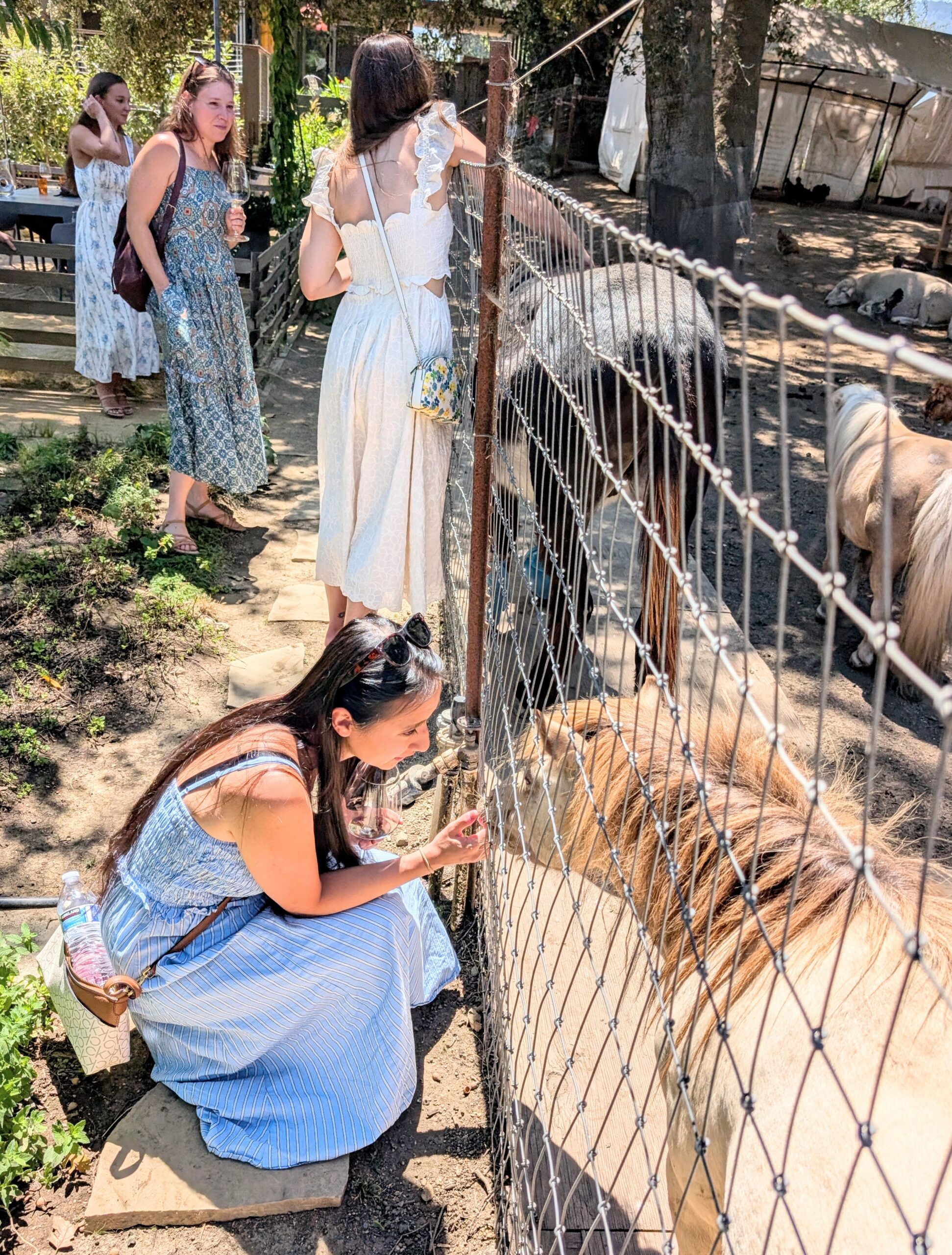 Animals, plants, sunshine & wine – what a great combination!