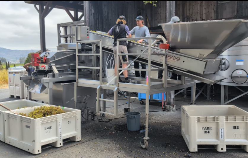 Behind the scenes of Napa Valley harvest – where great wine begins!