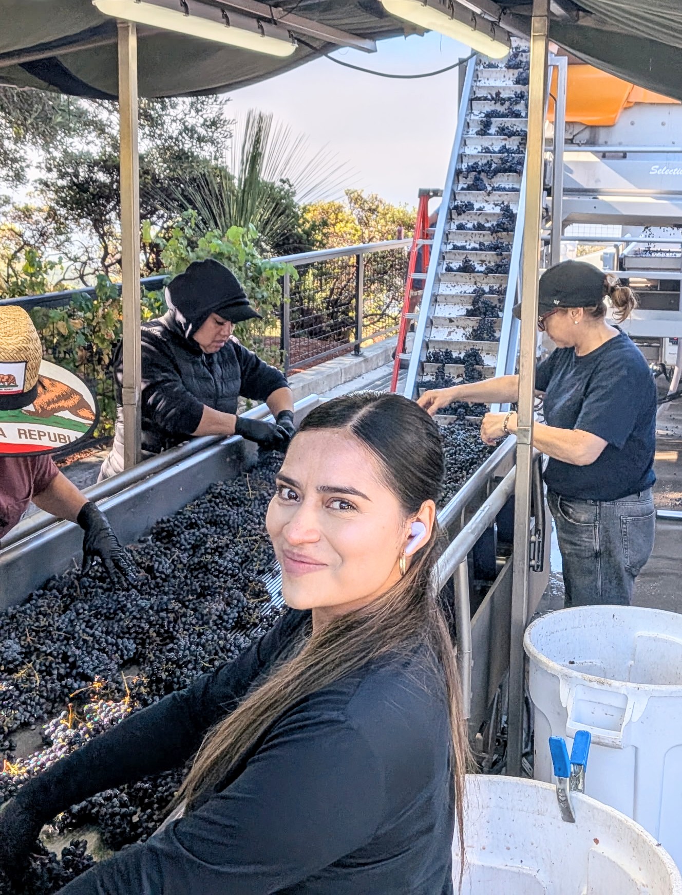 It’s the most exciting time of the year in Napa Valley!